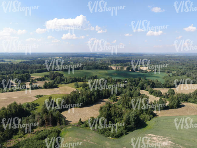 bird-eye view of agricultural fields and trees