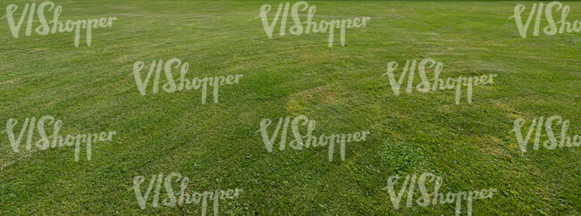 freshly mowed lawn in shade