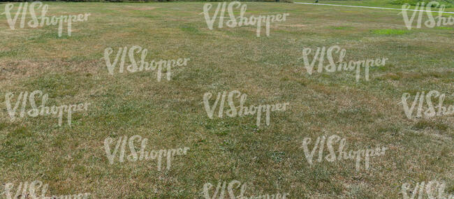 a bit dry mowed lawn