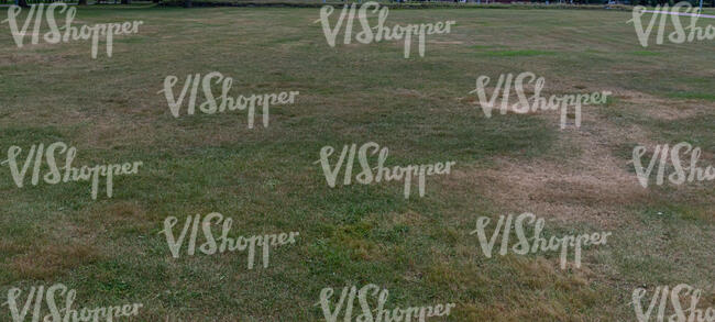 lawn with some dry patches