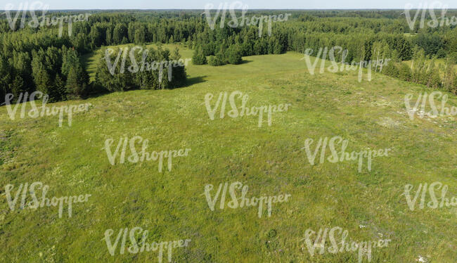 aerial view of a landscape with grasslands and forests