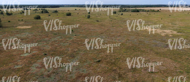 aerial view of a brownish grassland with few bushes