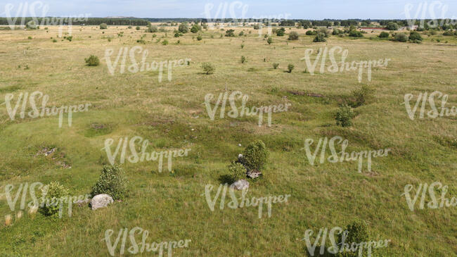 bird eye view of a grassland with stones