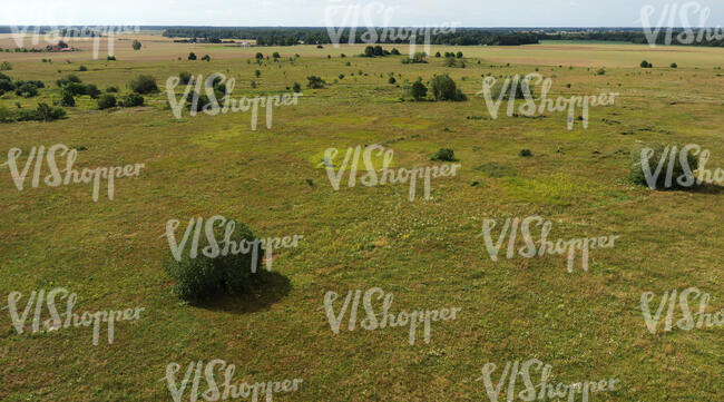 bird eye photo of a vast grassland with bushes