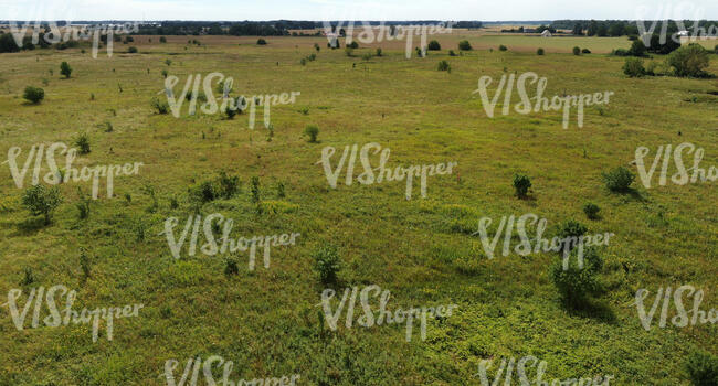 top view photo of a grassland with small shrubs