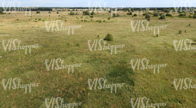 top view of a grassland in summer