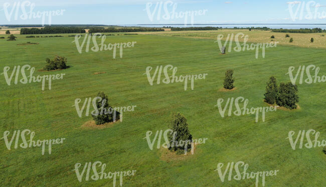 top view photo of agricultural fields