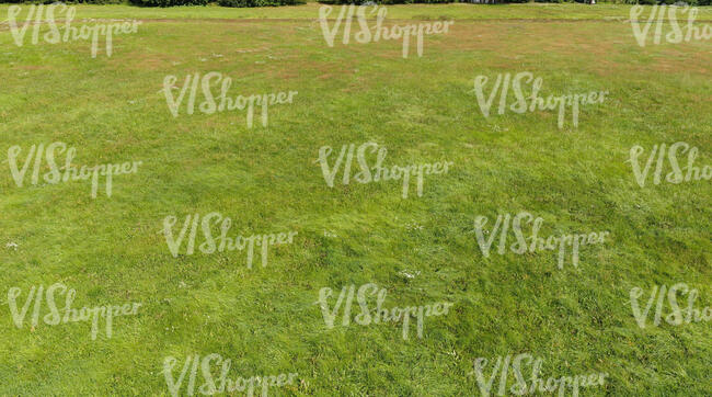 bird eye photo of a green meadow