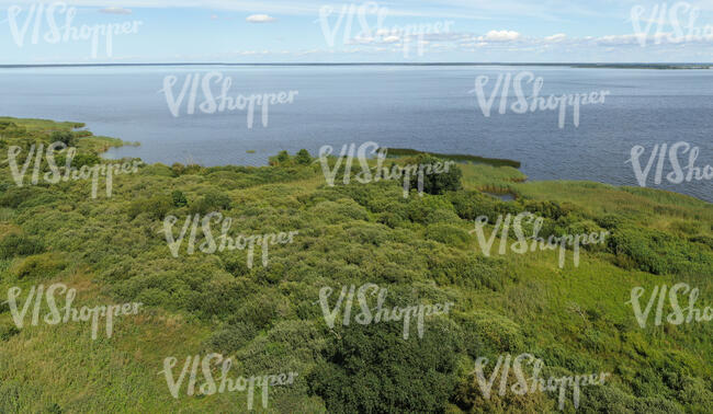 aerial photo of a sea shore