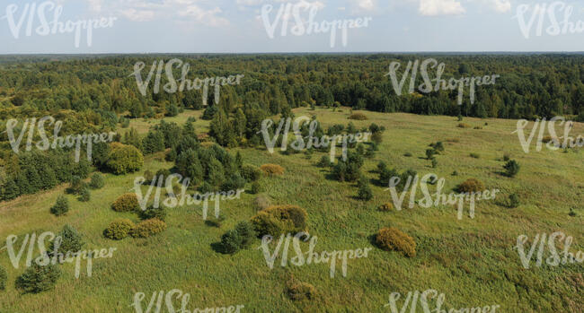 bird eye view of a wild landscape