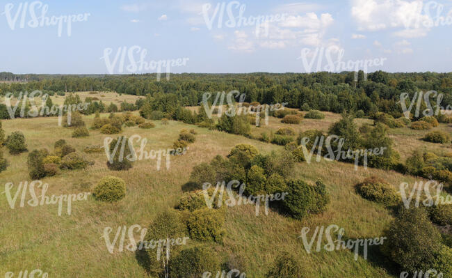 bird eye view of a wild landscape