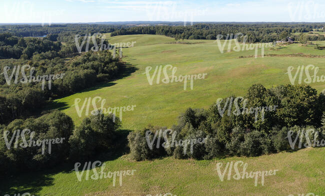 bird eye view of meadows and forest