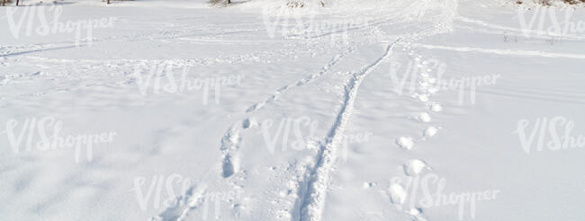snowy field in sunshine with different footprints