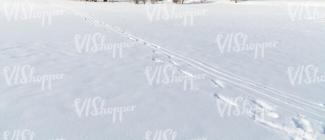 snow in sunlight with footprints and ski tracks