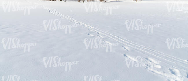 snow in sunlight with footprints and ski tracks