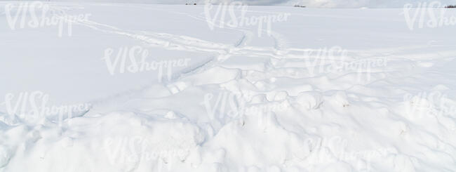 snow covered ground with different tracks