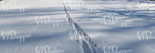 fresh snow with shadows and footprints