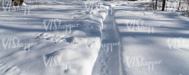 small snowy pathway in park