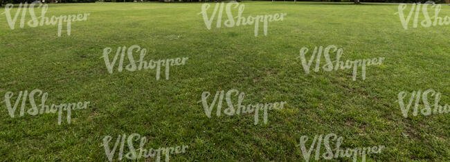 green lawn
