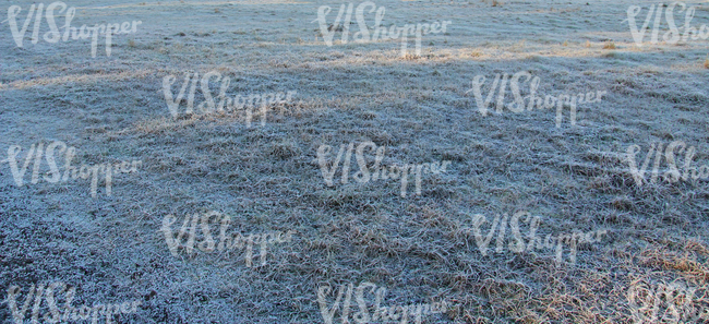 frost covered field of grass