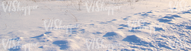 ground covered with snow