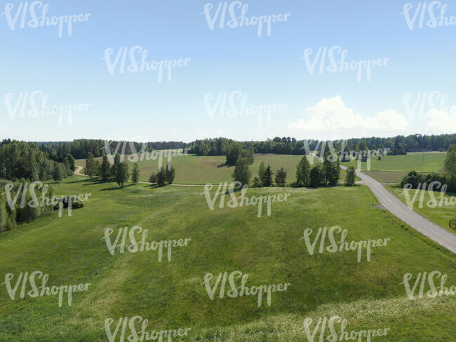 bird-eye view of a green grassland
