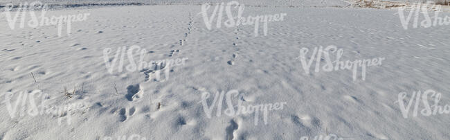 fresh white snow with footprints