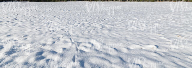 vast field of fresh snow in sunlight