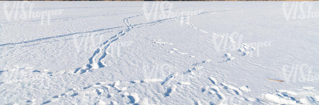 pure white snow with some footprints