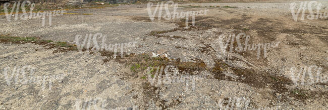 old gravel field in sunlight