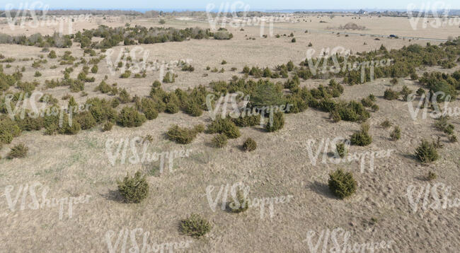 aerial view of a dry grassland with bushes