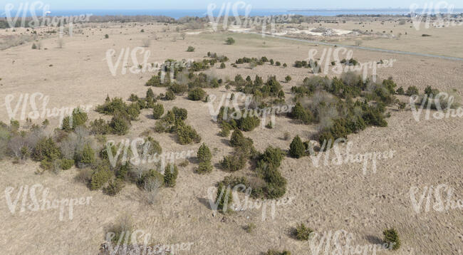 aerial view of a grassland in spring with some trees and bushes