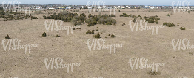 top view of a dry grassland with some bushes