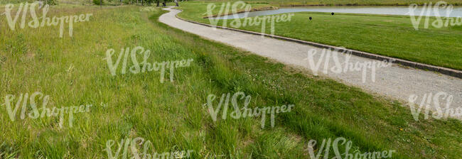 small path between green grasslands