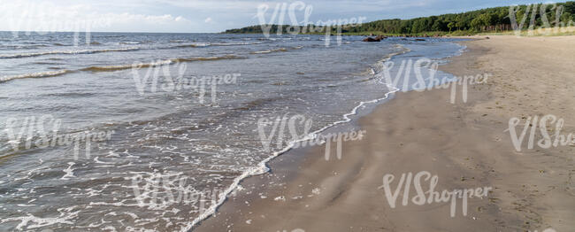 sandy sea shore