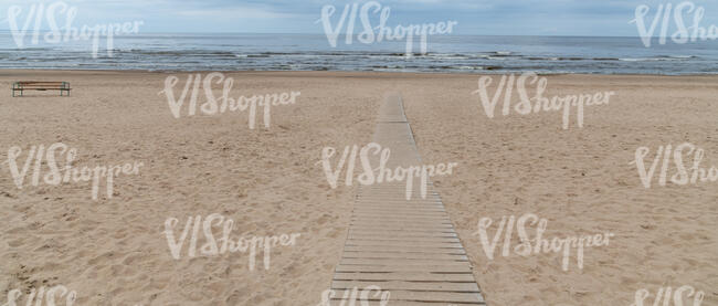 sandy sea shore