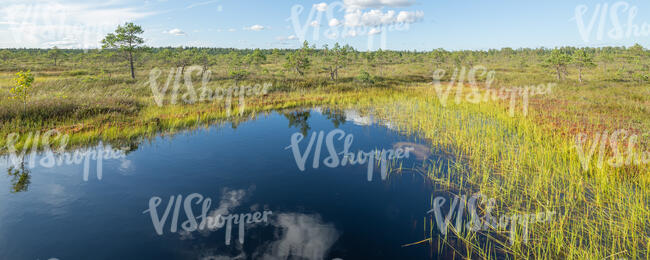 bog lake