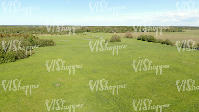 top view of a green field