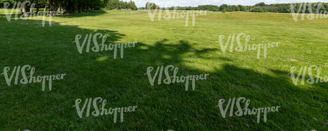 large area with mowed lawn and tree shadows