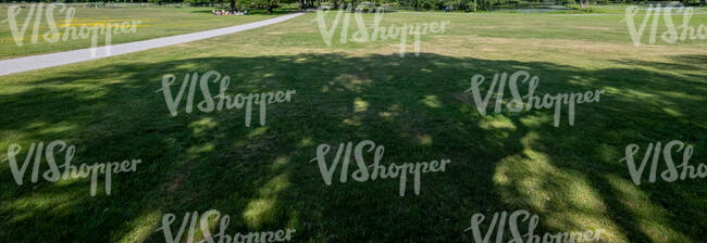 lawn with a large tree shadow