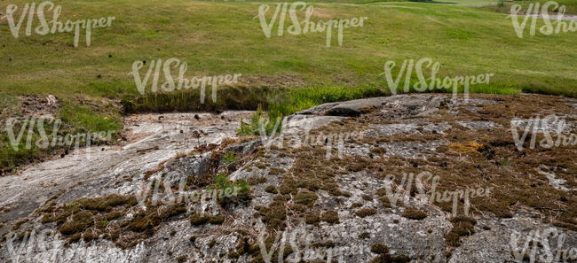 large granite rock in a field of grass