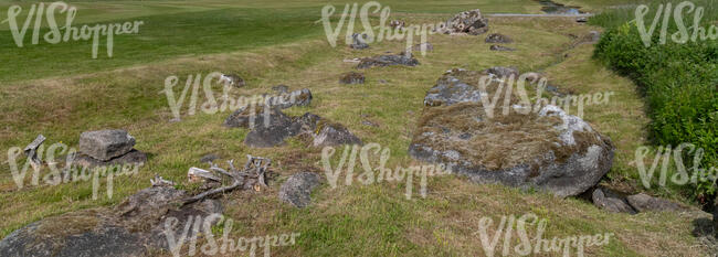 rocky grassland area