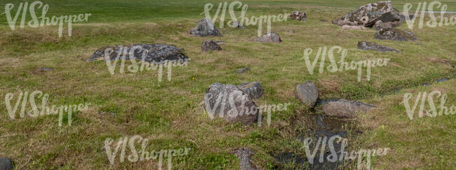 grassy area with rocks