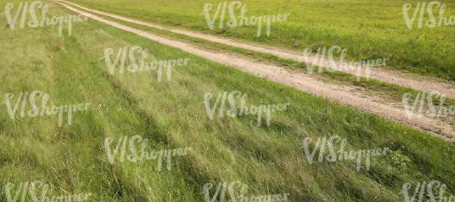 path in a grass field