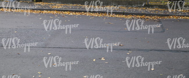 asphalt street with autumn leaves