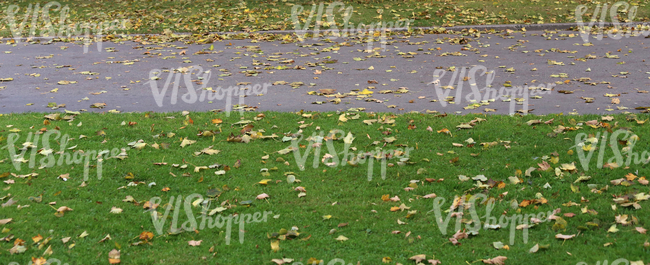 park walkway with autumn leaves