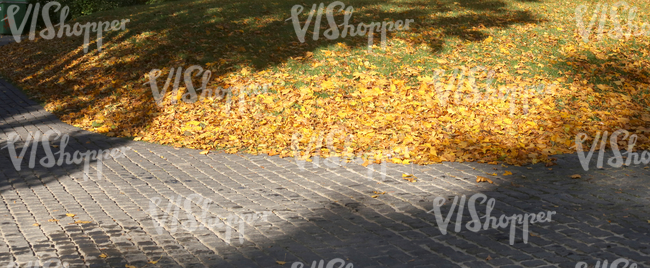 sloped ground in a park in autumn