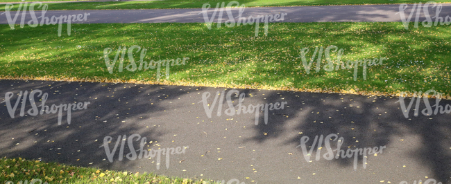 walkways in a park with autumn leaves