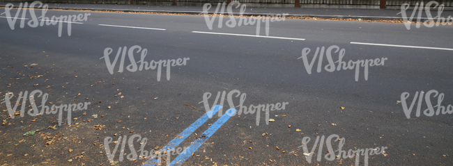 city street with markings and autumn leaves