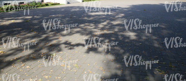 paved square with autumn leaves